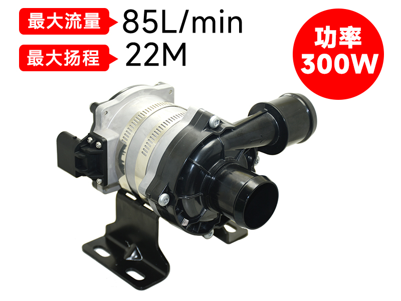 P7509汽車電子泵(300W)